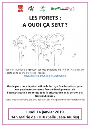 Invitation reunion publique Foix 14 janvier 20191.jpg